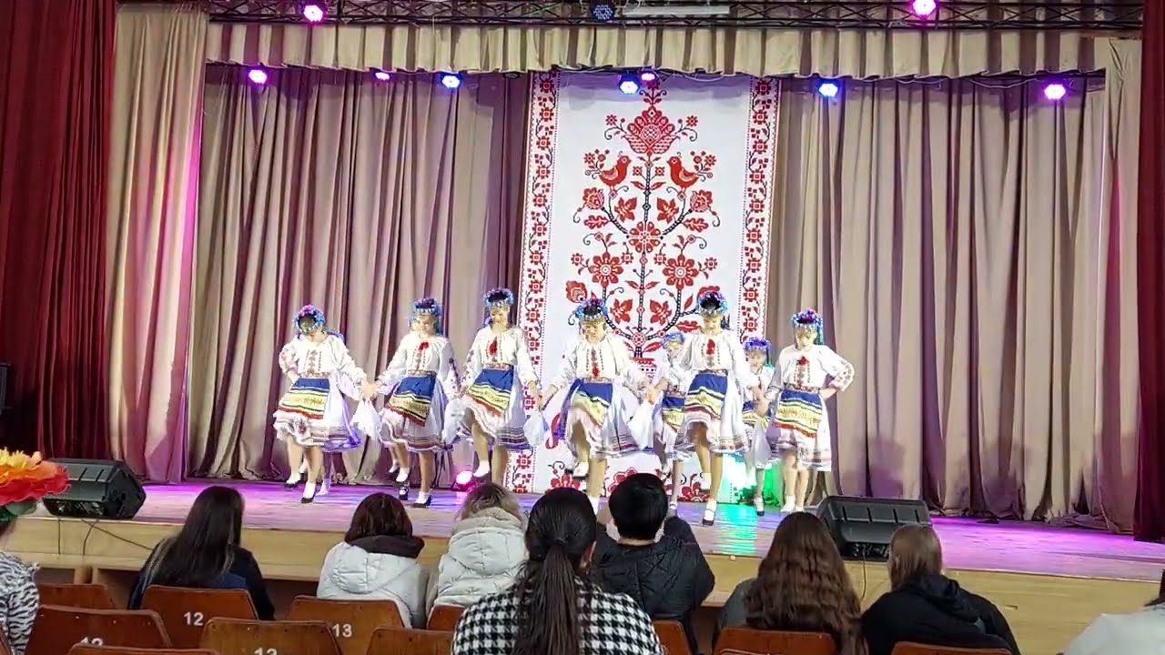 Зразковий художній колектив 