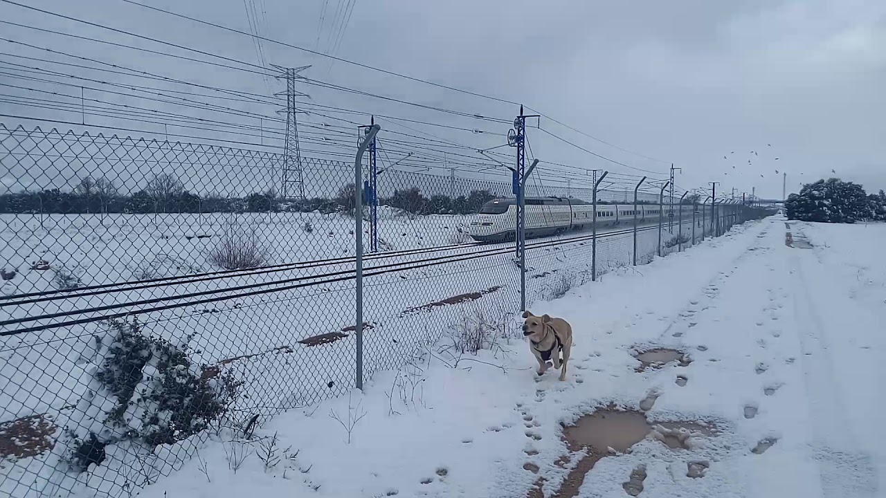 AVE S-100 sobre la nieve. Spanish high speed train