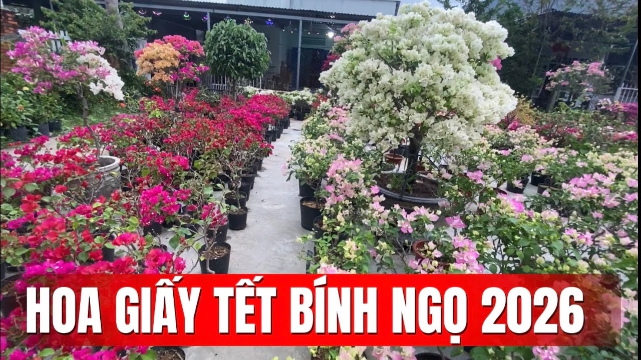 Бумажные цветы к празднику Тет Бинь Нго 2026 года (23 декабря по лунному календарю).