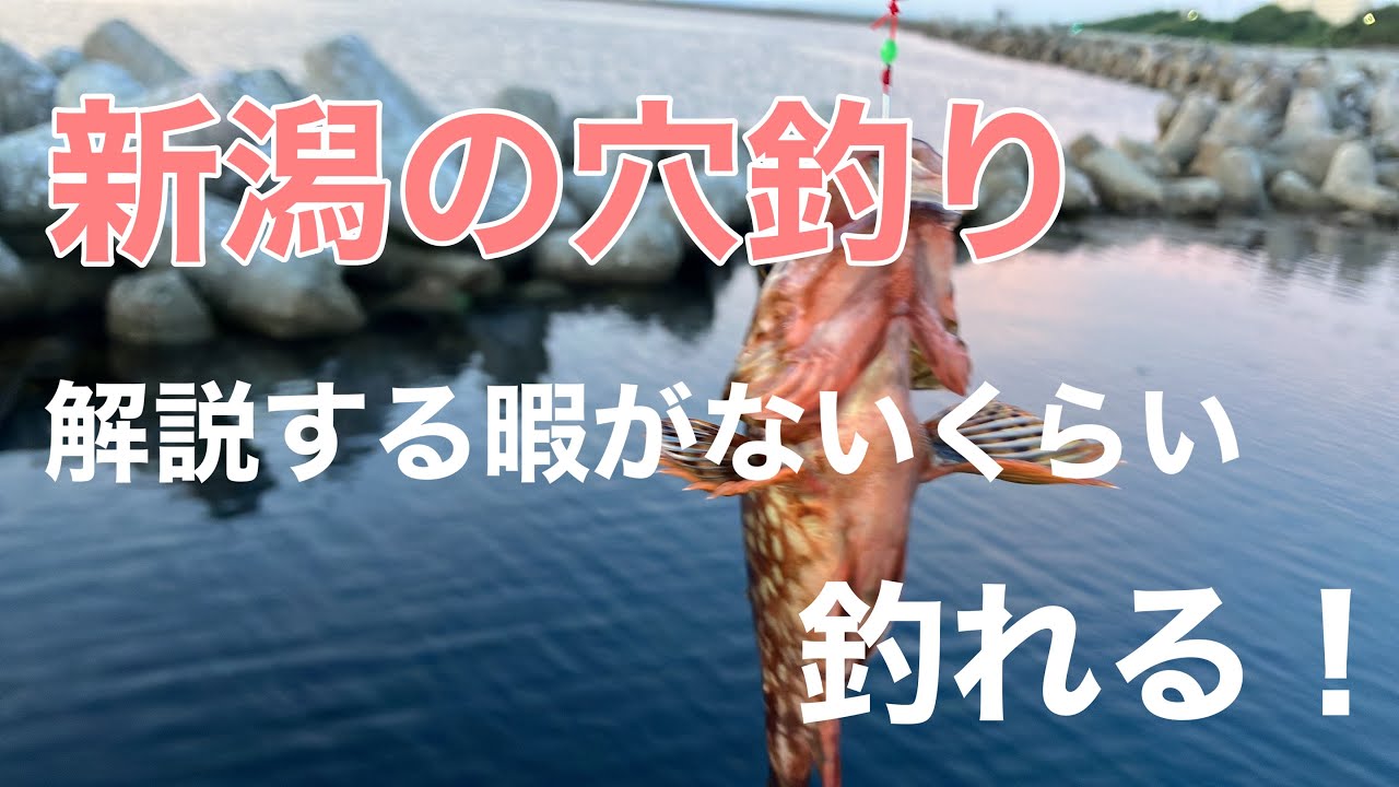 新潟の穴釣り解説！テトラ乗らなくても簡単に釣れる