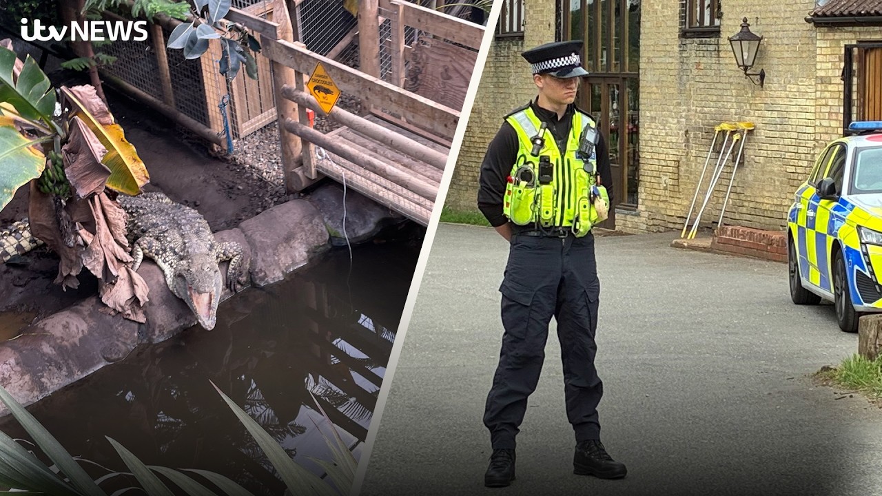 Three-year-old 'critically injured' in crocodile enclosure - what we know so far