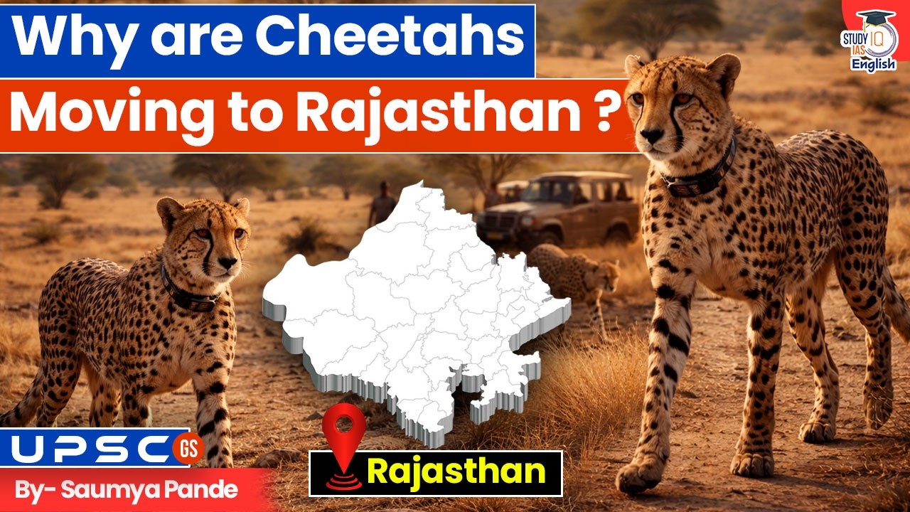 Why Are India’s Cheetahs Moving to Rajasthan? | Success of Project Cheetah? | StudyIQ IAS English