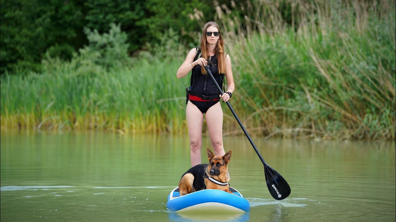 🏄Wildwasser🐕‍🦺 Paddletour mit Hindernissen quer durch die Wildnis mit Übernachtung 💦Stand up Paddle