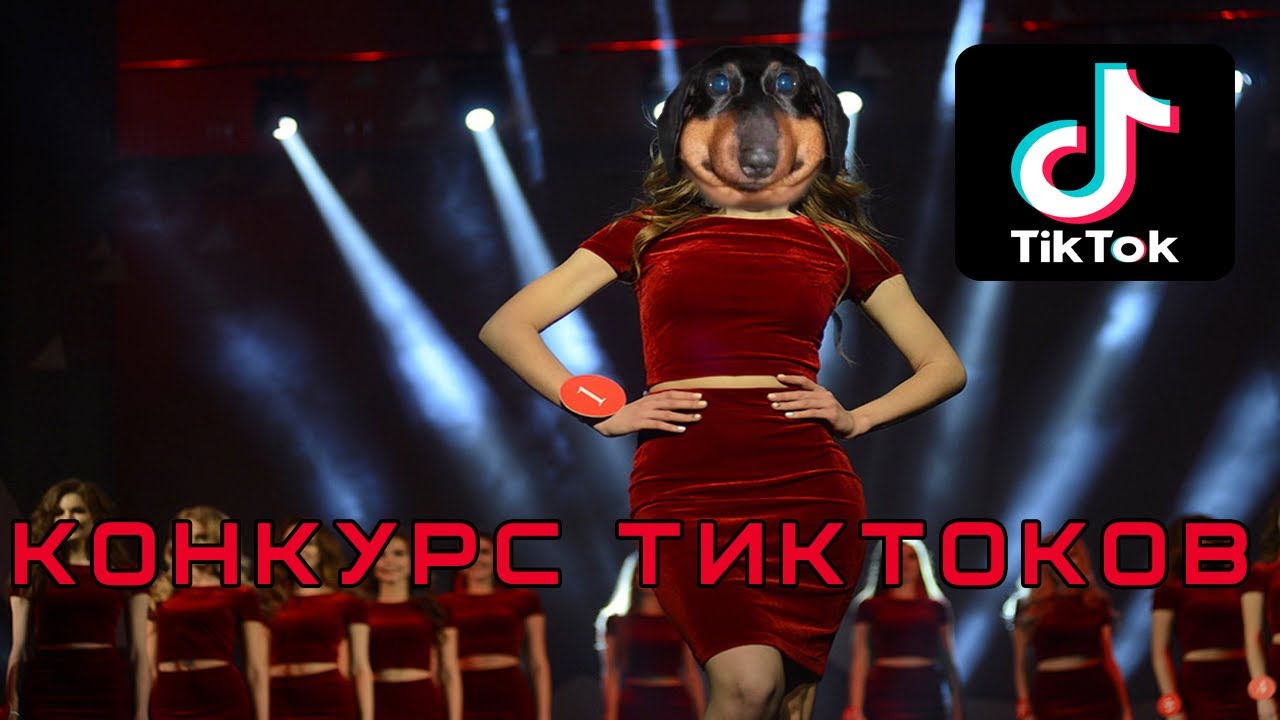 Конкурс фанатских тиктоков (Давг, Алисон, Пут)