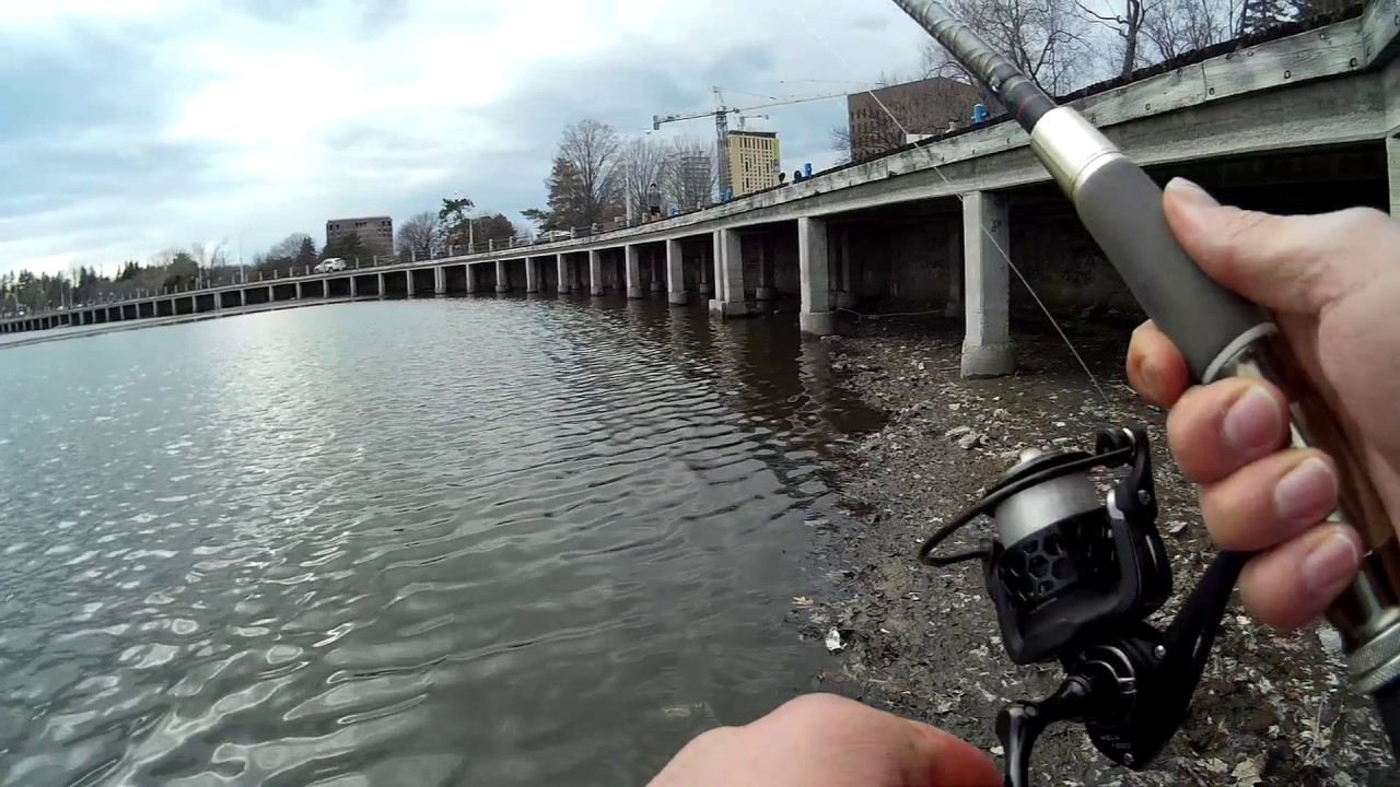 Trying Snelled Hooks - Dow's Lake - April 23 2017