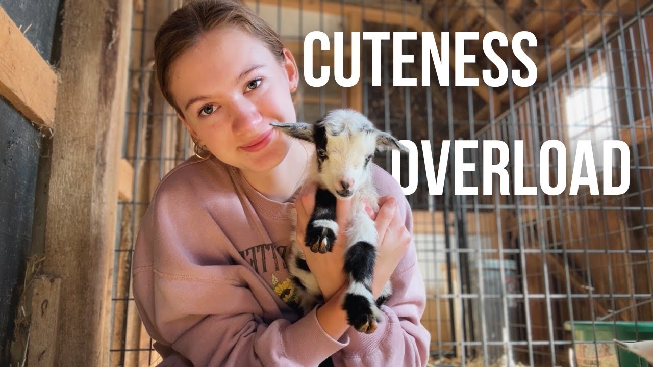 Day in my Life Taking Care of BABY GOATS