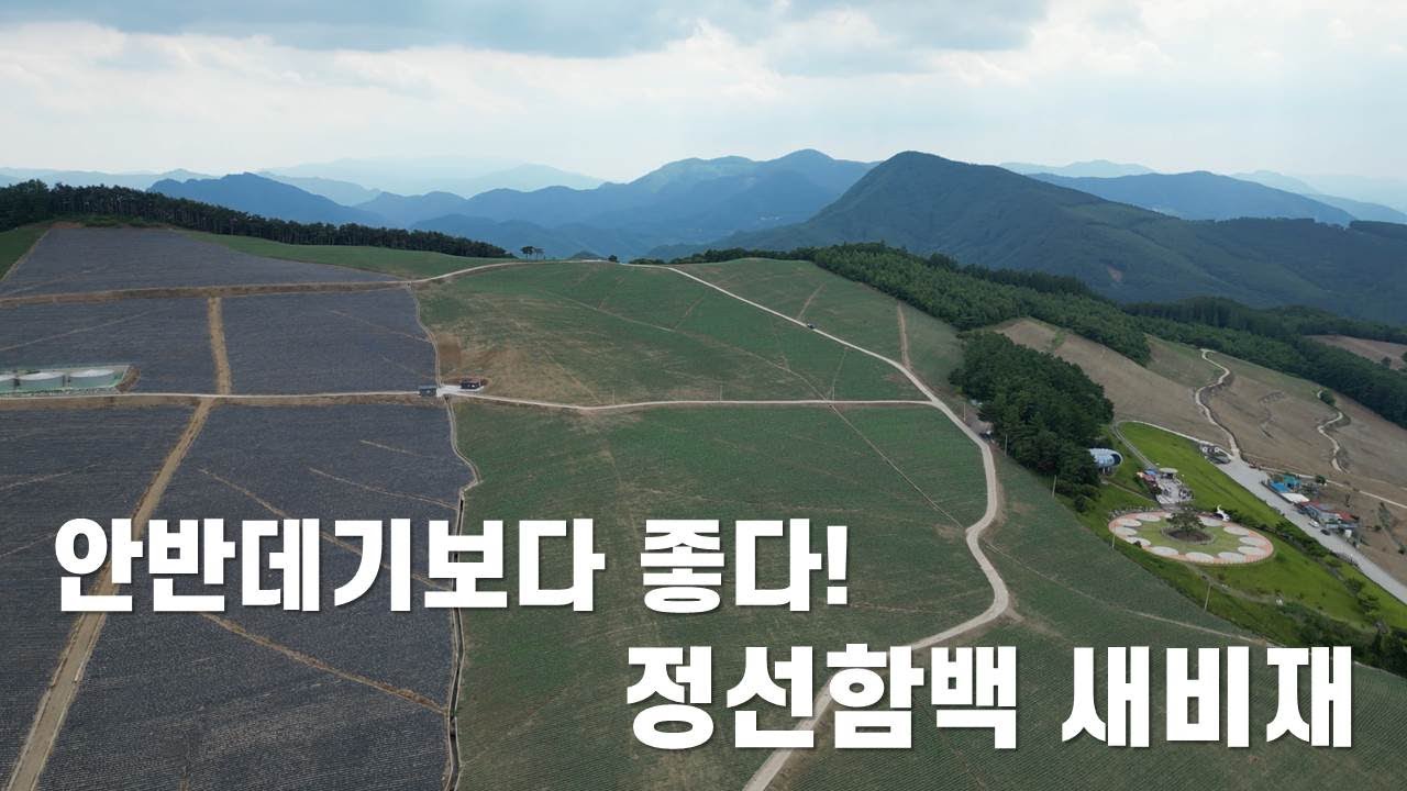 정선은 아름답지 않은 곳이 없다! 함백과 새비재