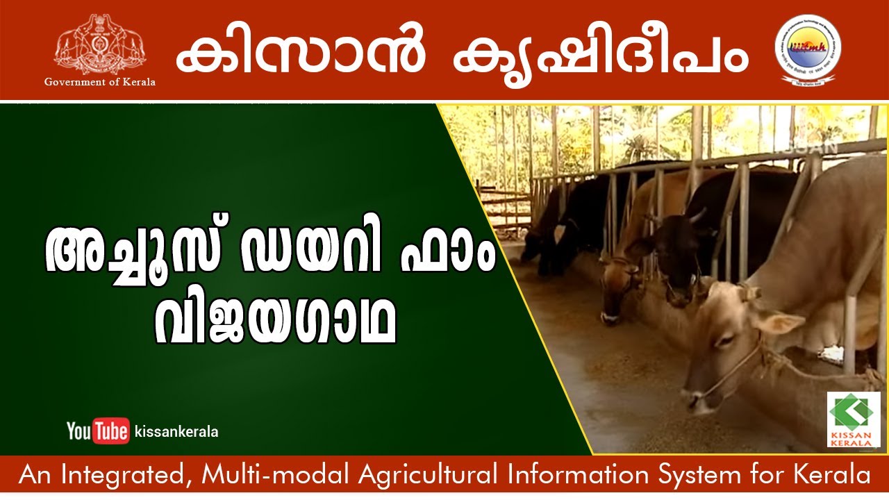 Success story of commercial  free store Diary Farming - Achus Diary Farm, Trivandrum