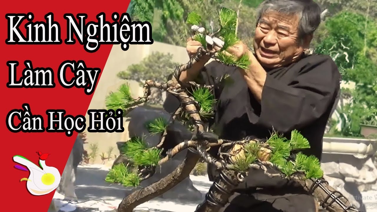 Kunio Kobayashi Bonsai demonstration, He exchanges with the art of landscape plants in Vietnam