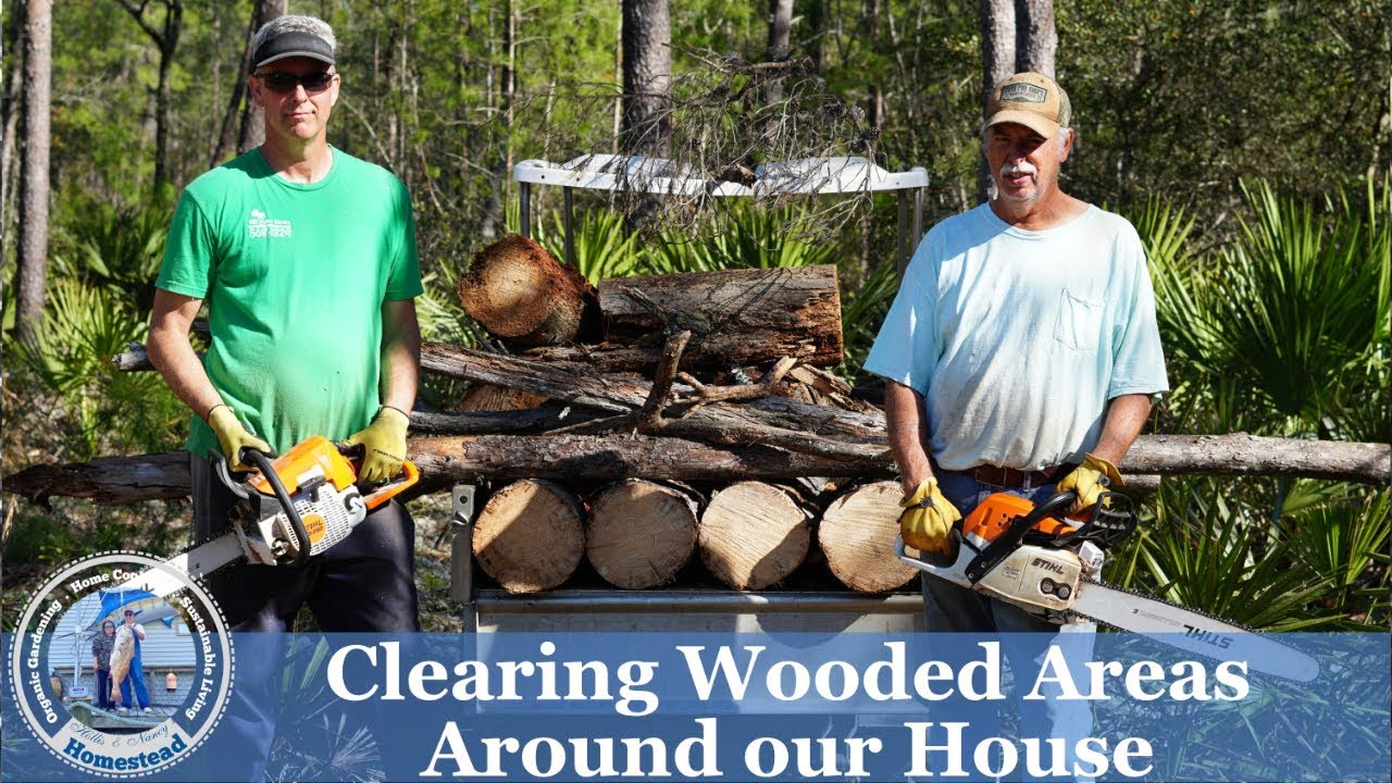 Clearing Wooded Areas Around our House
