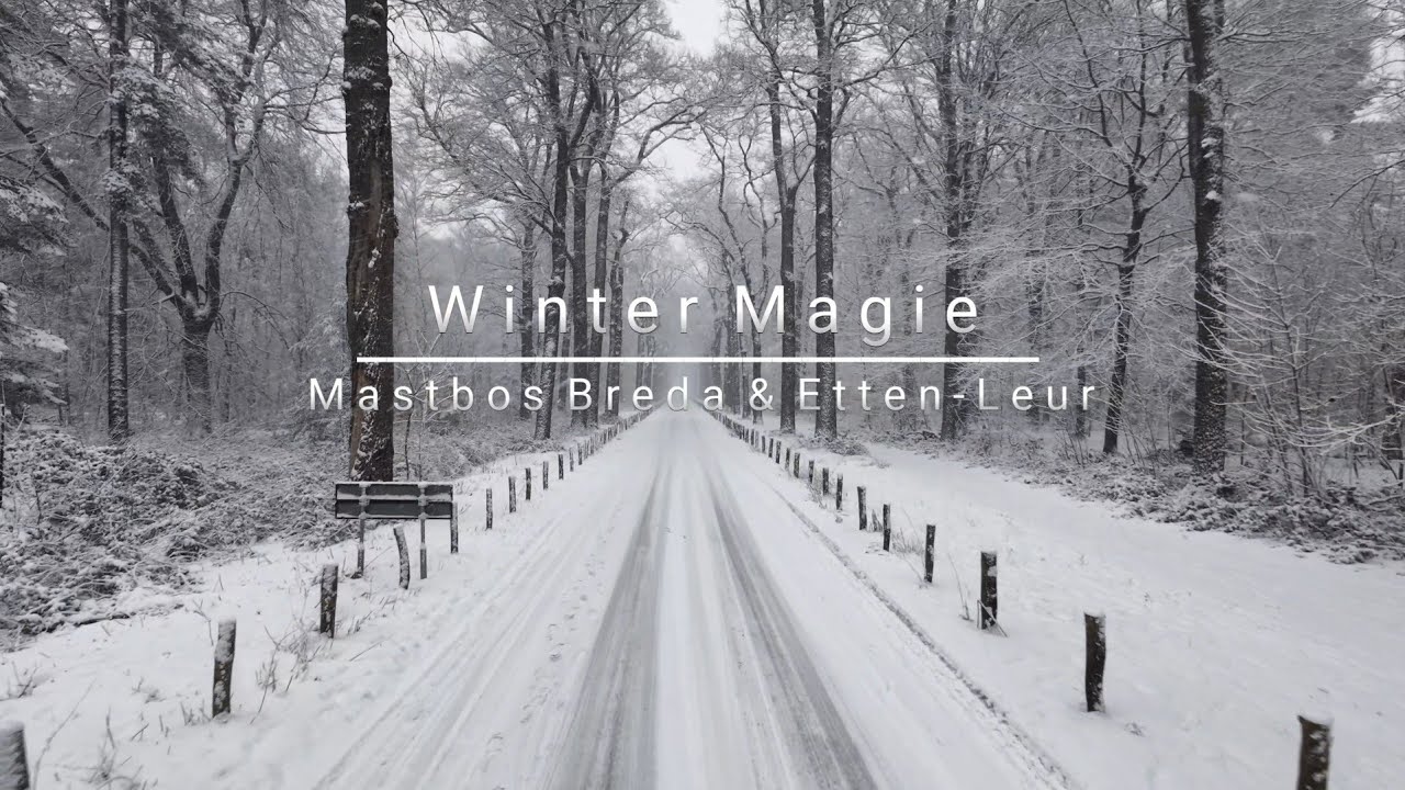 Wintermagie - Mastbos Breda & Etten-Leur 4K