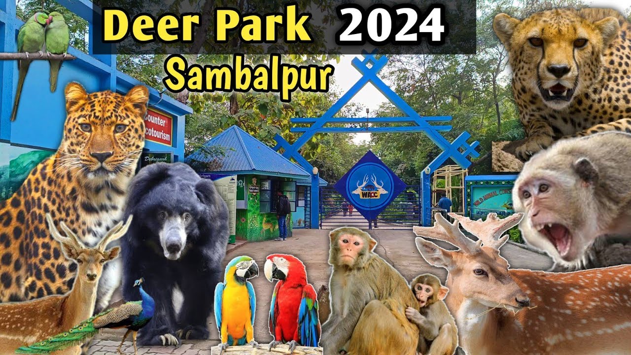 Deer Park Sambalpur || डियर पार्क संबलपुर || #deerparksambalpur #deerpark