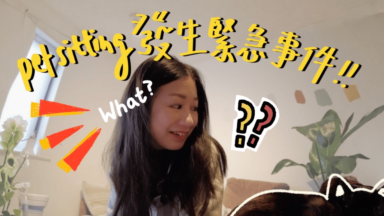 貓貓走失？鎖匙開唔到門？差點出事⋯！當寵物保母遇過最驚嚇的7件事😱