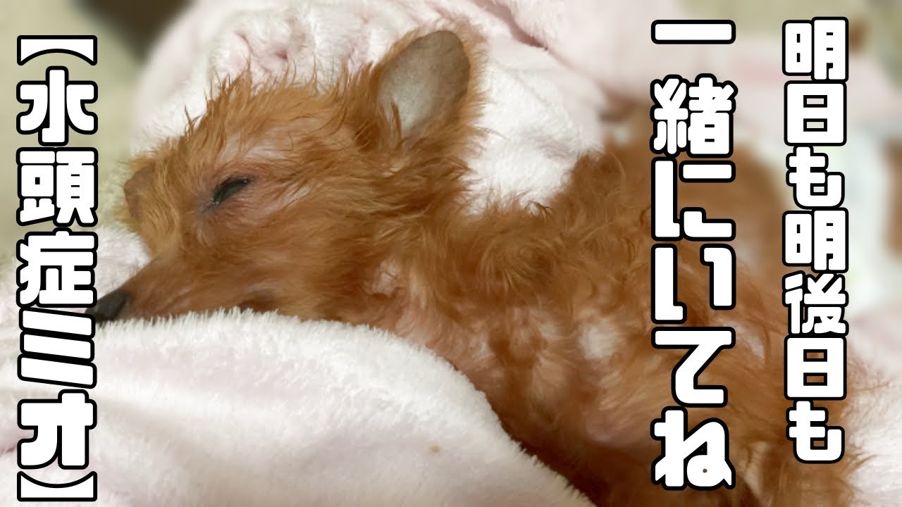 毎朝、目が覚めるということは奇跡のようなこと「vol 234」