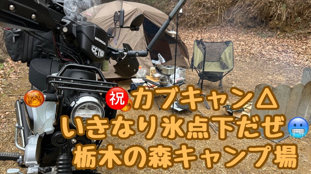 祝！カブキャン△　栃木の森