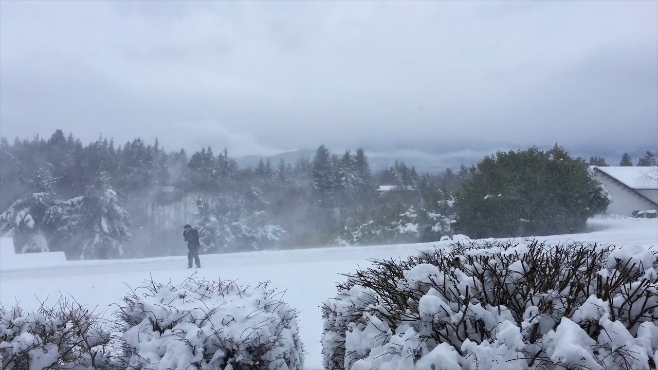 Snowstorm Turns Blizzard in Sequim, Washington
