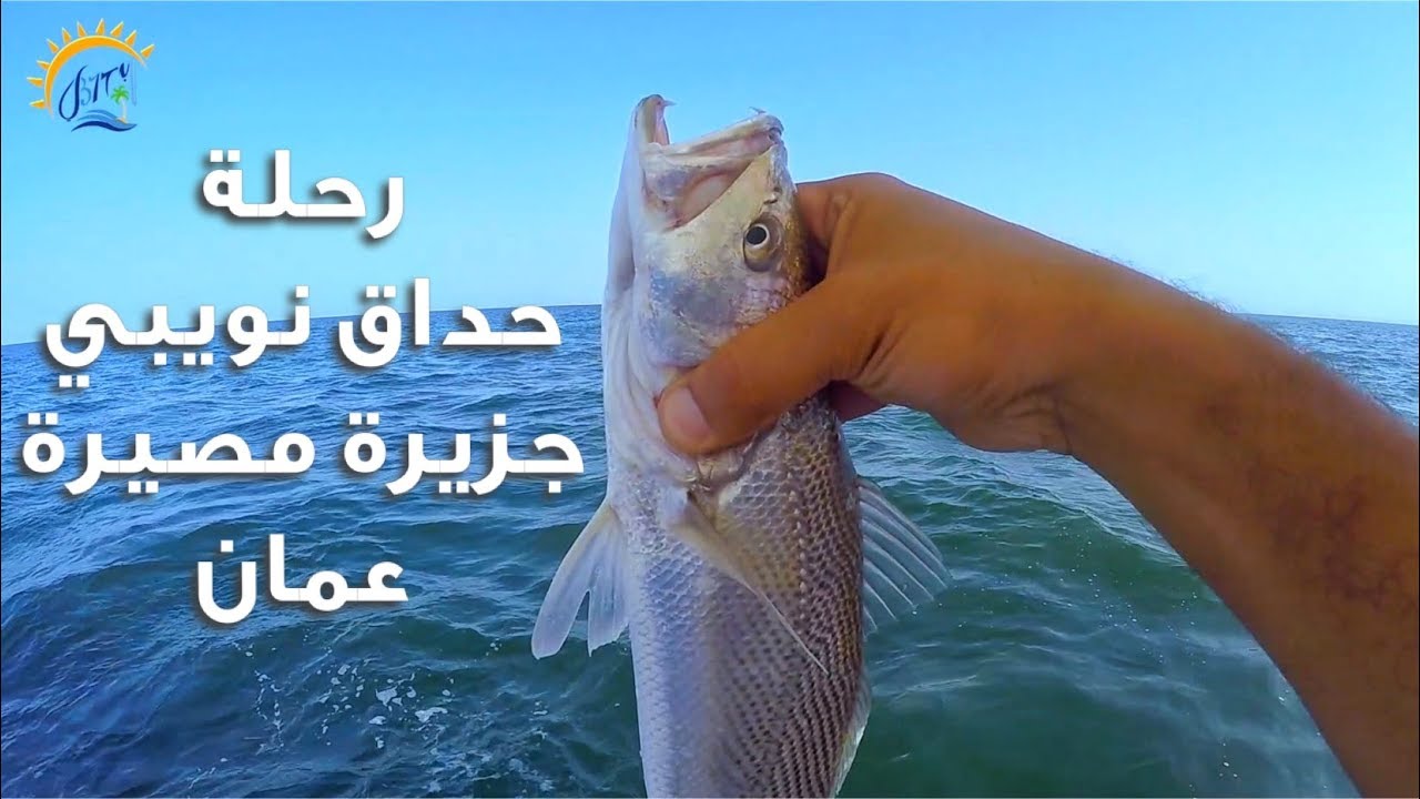 رحلة حداق نويبي - جزيرة مصيرة -عمان | Masirah Island Fishing Trip