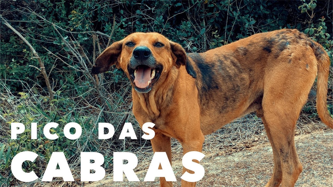 Pico das Cabras - (Pixel 2 SlowMotion Test)