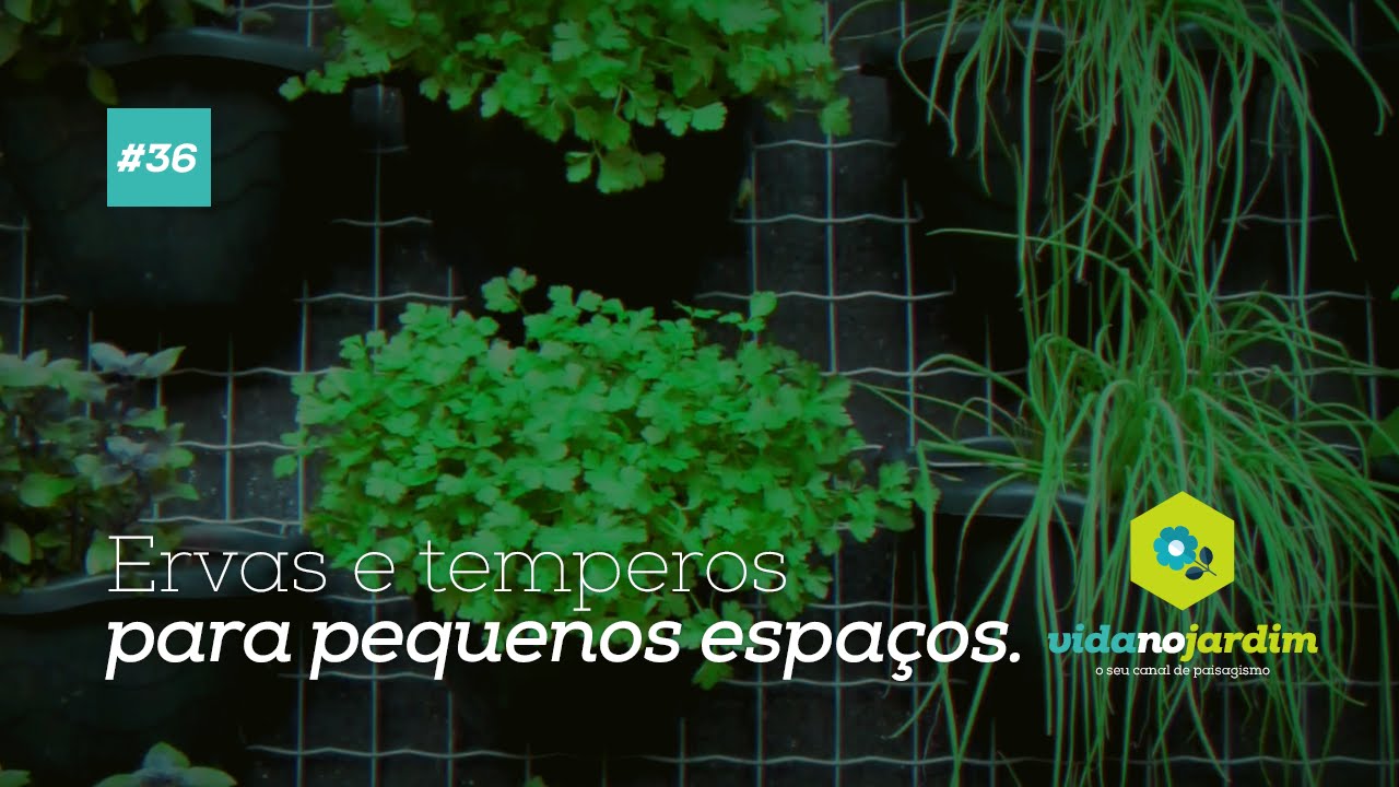 Ervas e temperos para pequenos espaços