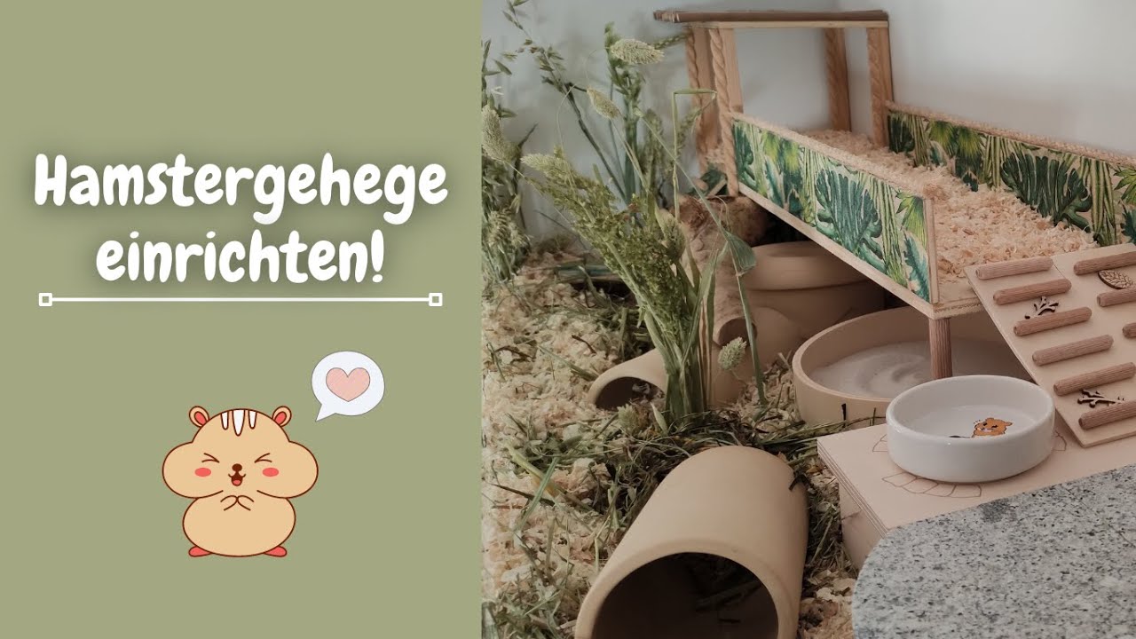 Hamster Gehege einrichten ♥ Vorbereitungen für einen Neueinzug