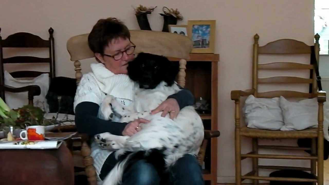 Spelen , Trainen en Uitrusten