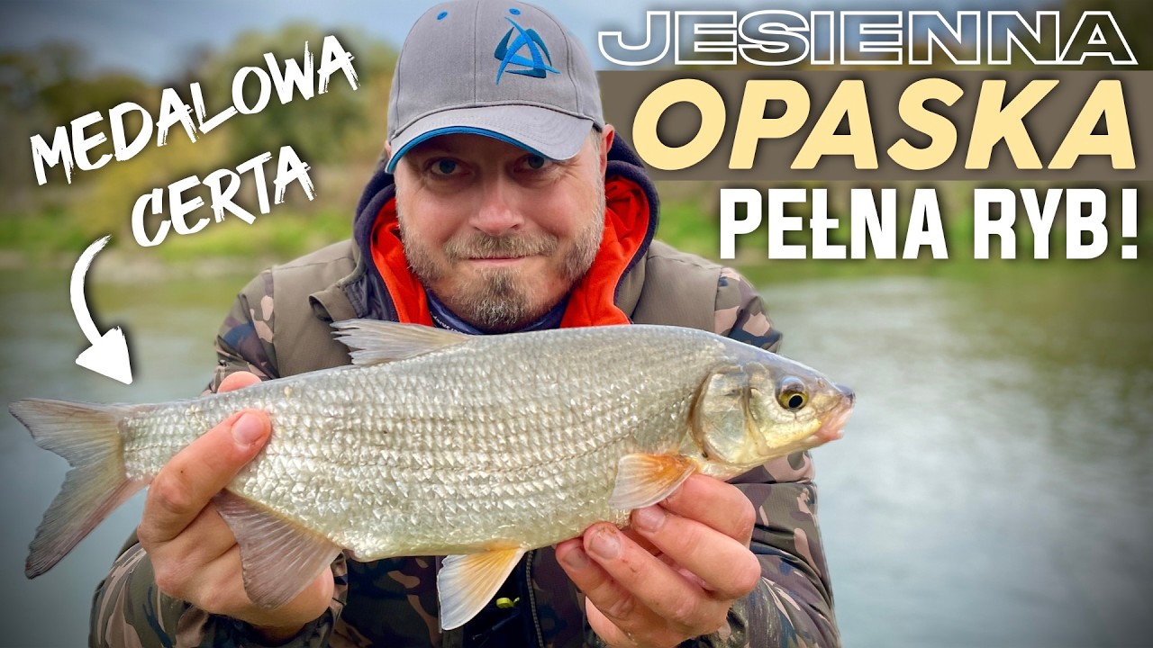 [205] Połowiłem bez robaków! ❌🐛🪱Odrzańska prostka jesienią. 🍁🍂🌊