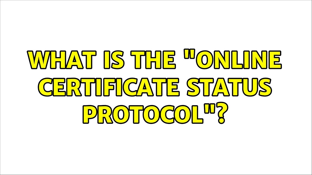 What is the 