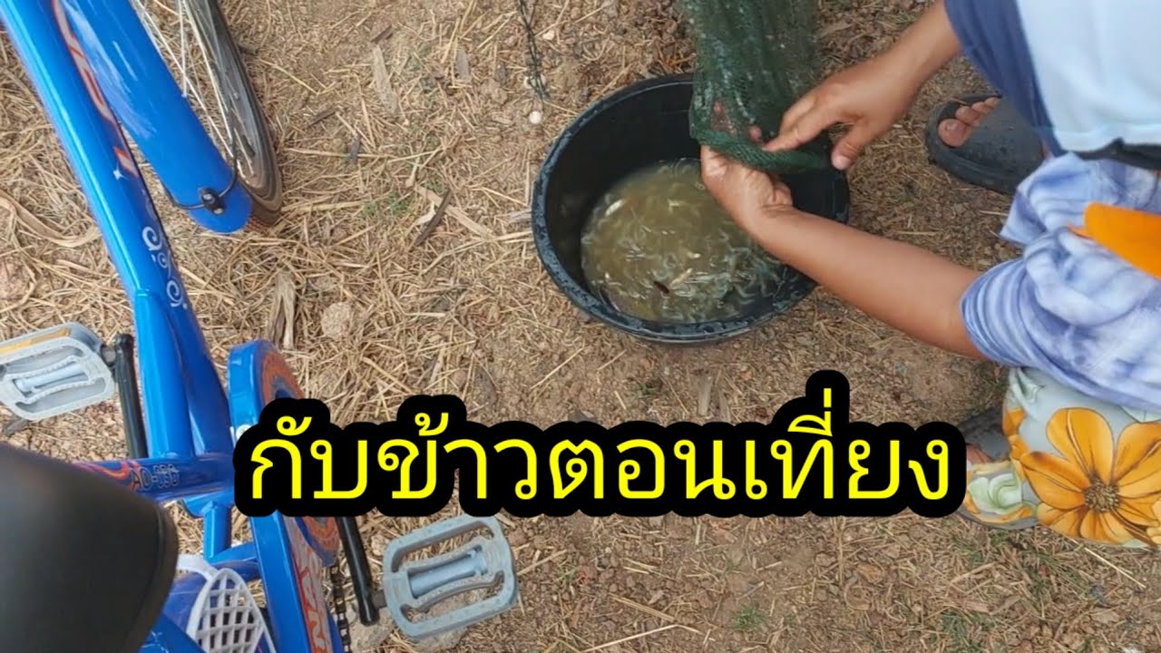 กับ ข้าว ทีม งาน ตอน เที่ยง เมนูหลังบ้านตาแผน#จิตอาสา 