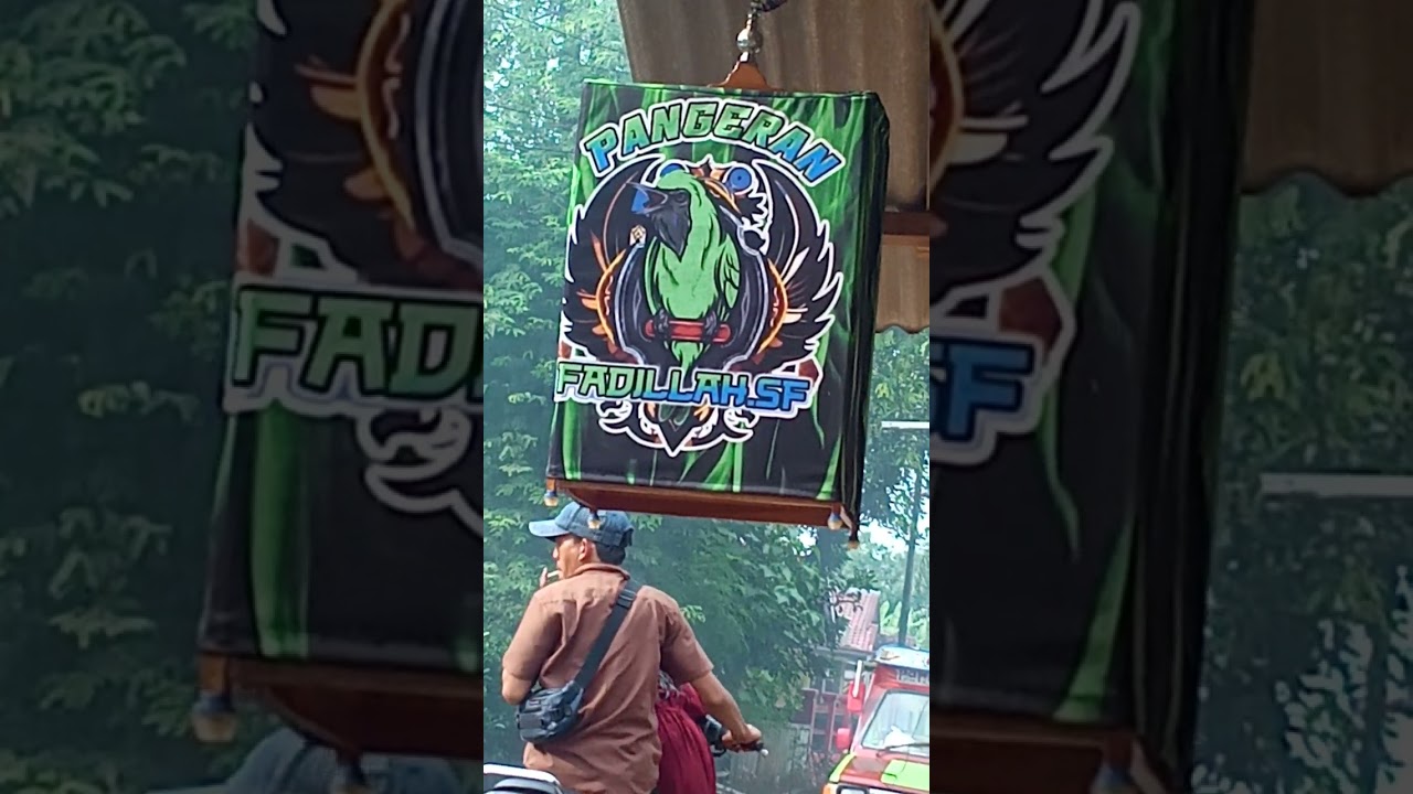 buat pancingan cucak ijo yang belum gacor/pendamping murai batu