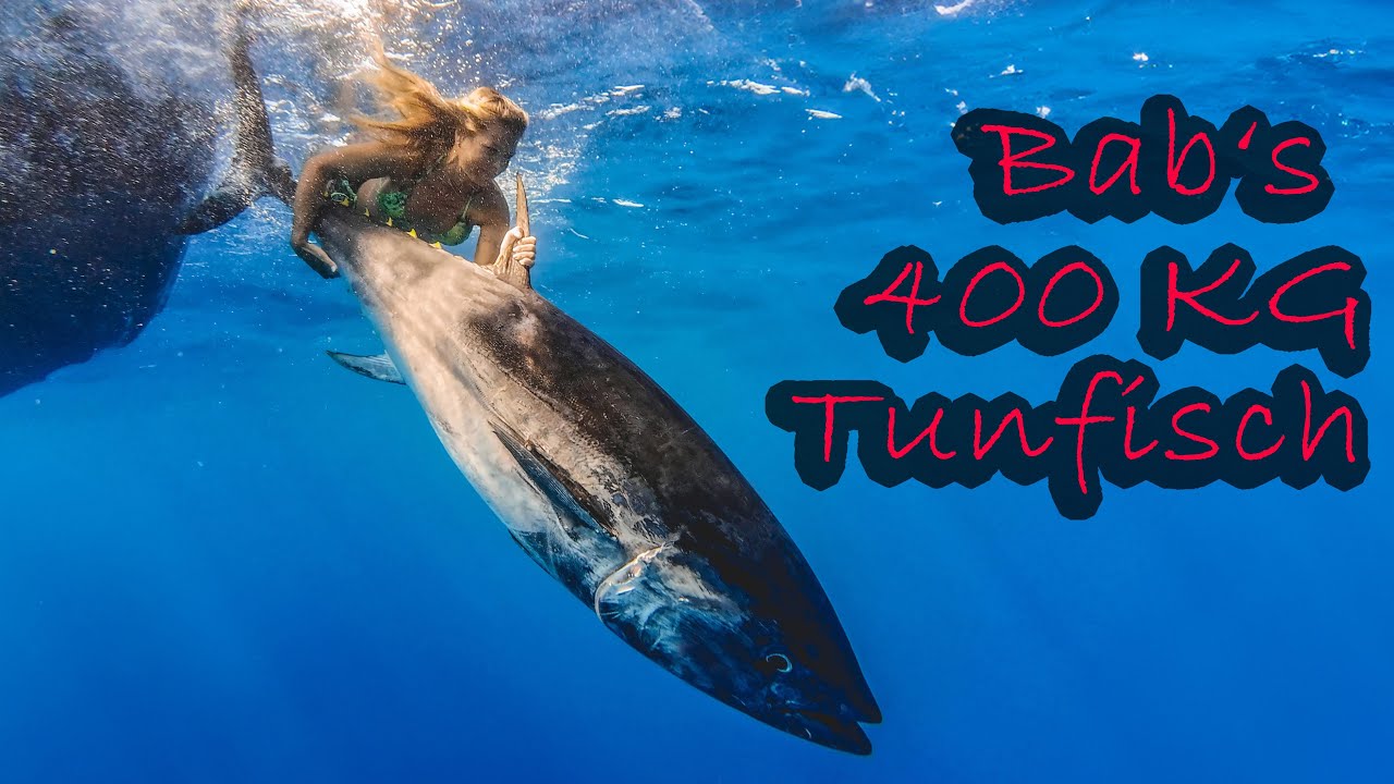 Bab's 400kg Tuna *WAS FÜR EIN MONSTER*