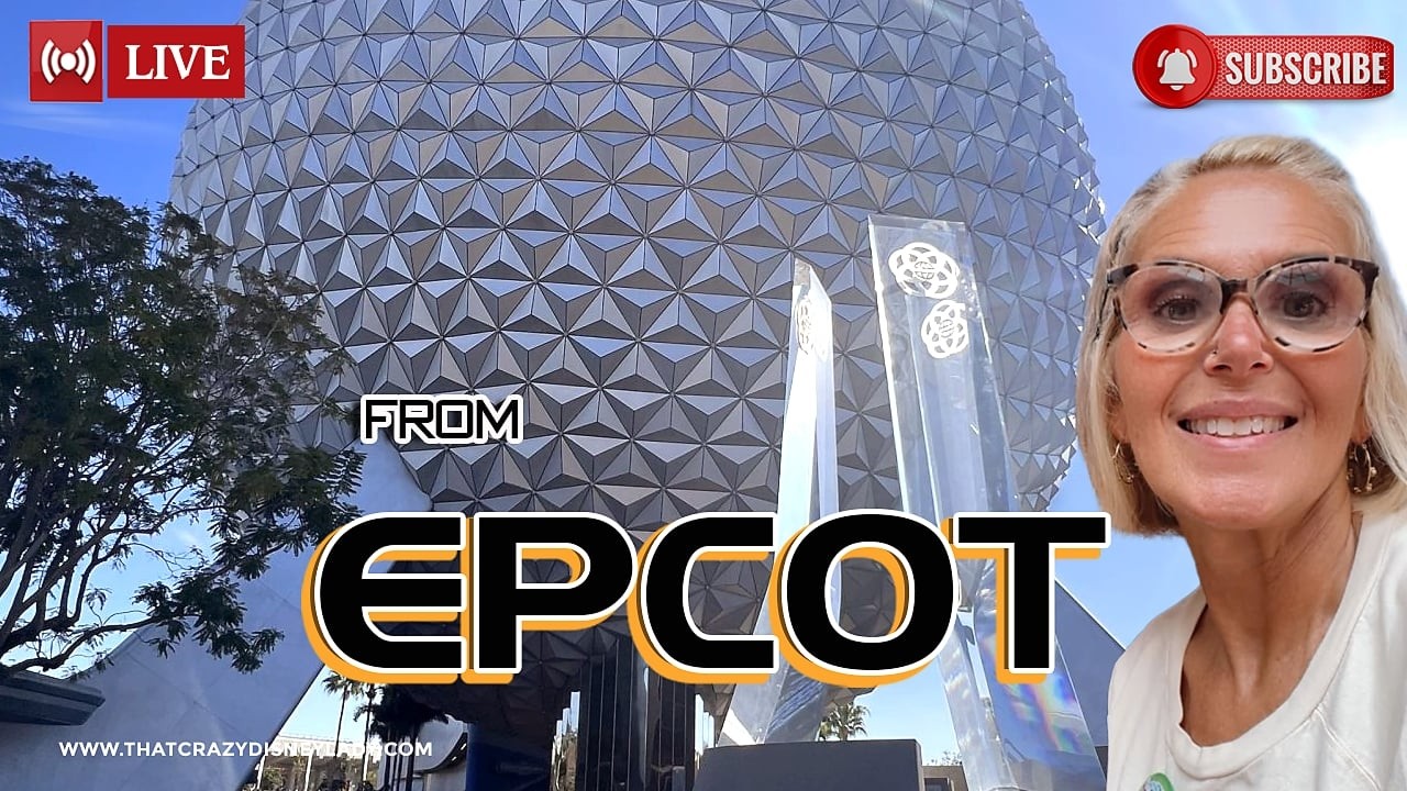 Epcot Shopping/Rides/Fireworks   7/13/26 #live