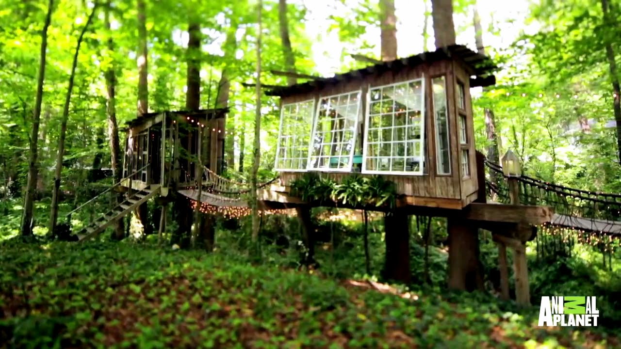 A Treehouse Built for the Mind, Body and Sprit