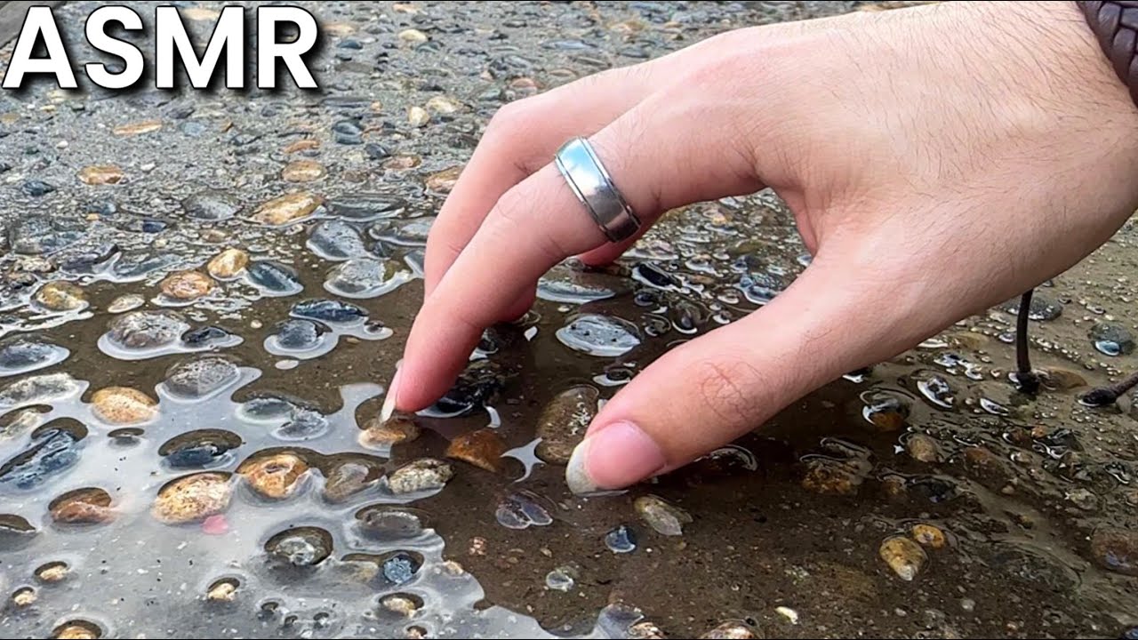 ASMR in the Rain - Tapping & Scratching Outdoors 🌧️ - lofi