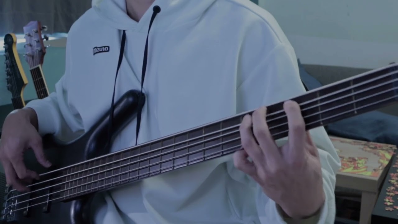 張震嶽-浪人的...Bass Cover