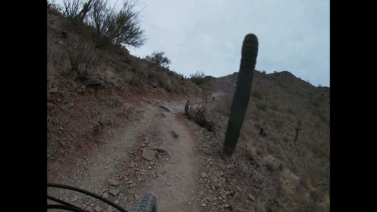 Dixie Mountain Loop (4/26/2021) (2X)