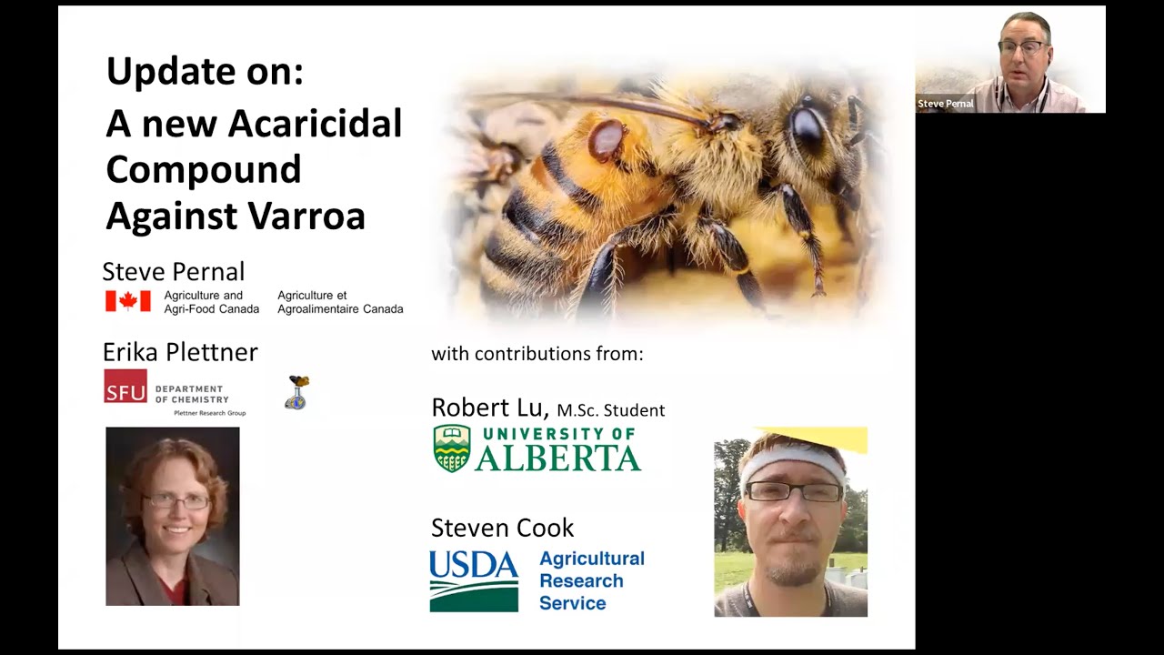 Researching New Tools to Treat Varroa