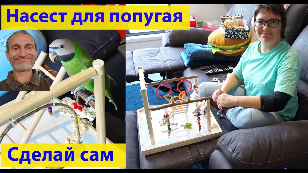 Делаем площадку для попугая своими руками. (видео 476)