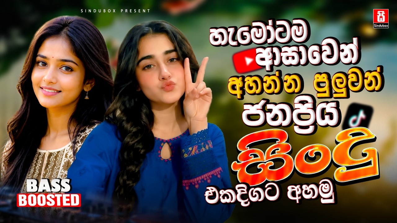 2026 අලුත්ම ජනප්&zwj;රියම වයිරල් සිංදු ටික | New Top Sinhala Collection | Trending Songs | Sinhala Songs