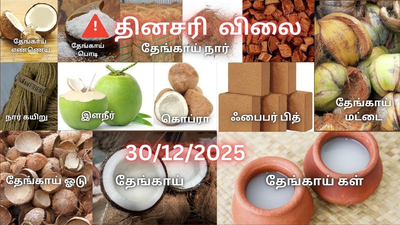 🚨🚨தினசரி தேங்காய் மற்றும் கொப்பரை விலை நிலவரம்- Sastik Trader's Daily update coconut and copra price
