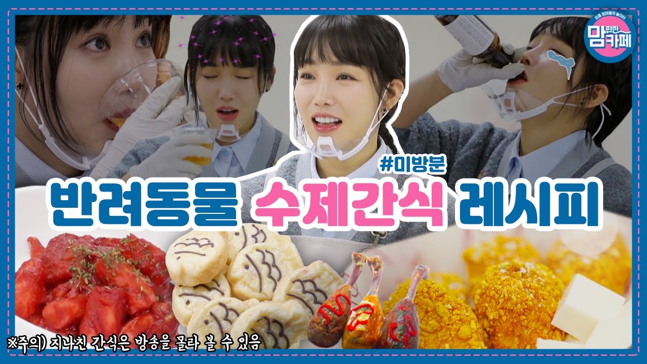 [유튜브 단독] 정보원 이유리의 반려동물 수제간식 만들기 도전! (미방분 Full)│💌맘 편한 카페 (Mom's Cafe)💌 매주 목요일 밤 8시 50분 E채널