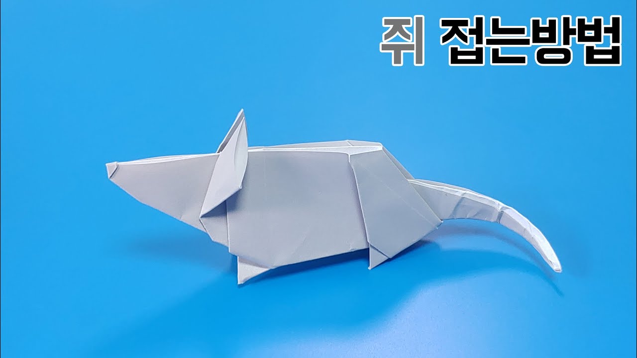 색종이로 쥐 접는방법(종이접기) / 네모아저씨, Mouse origami /ラット折り畳み方法