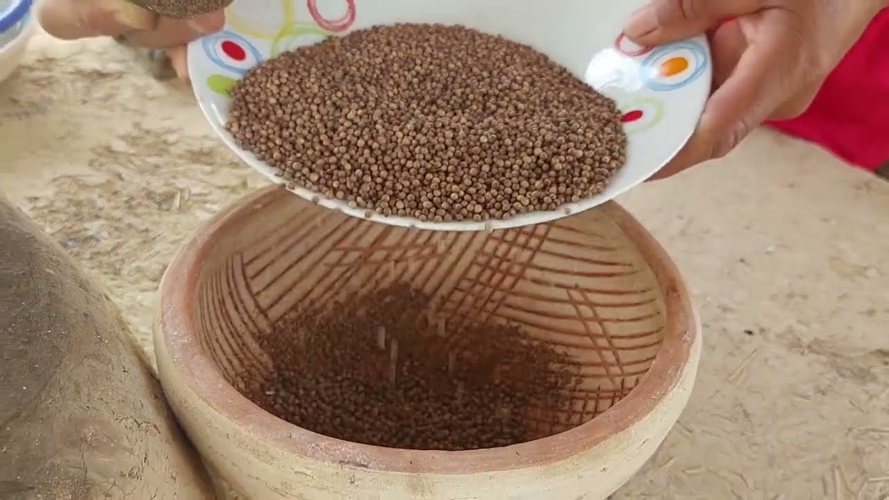 Moliendo semillas de cilantro