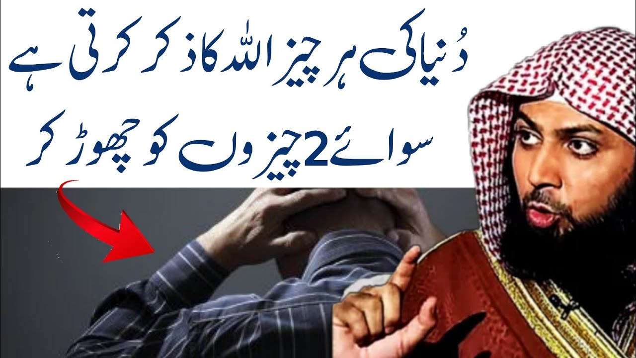 Duniya Ki Har Cheez Allah Ka Zikr Karti Hai #shorts #qari_sohaib_ahmed