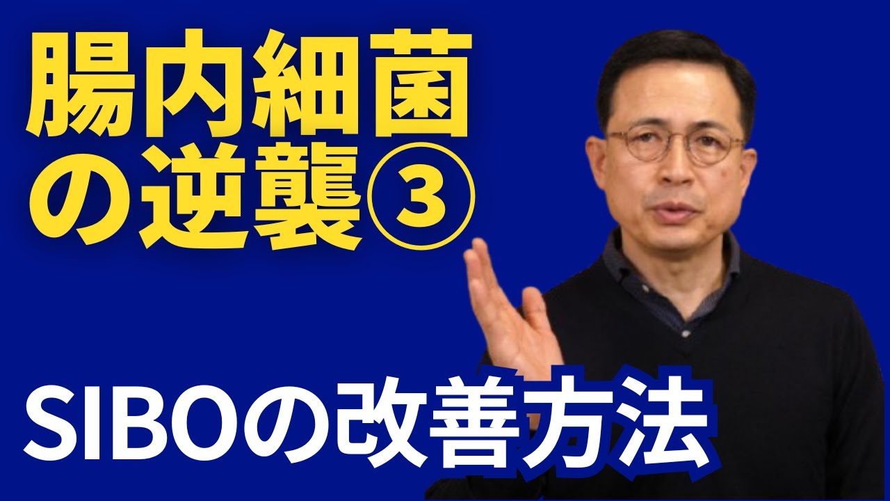腸内細菌の逆襲 ③（SIBOの治し方）