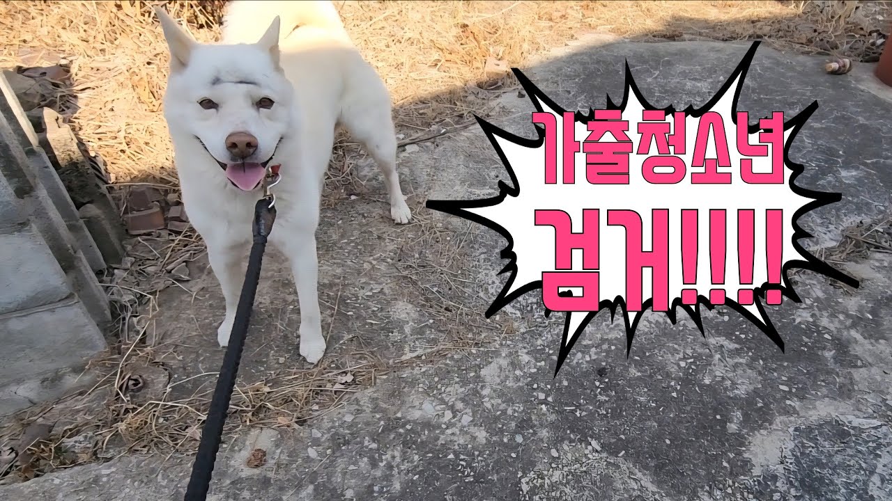 가출청소년 검거!!!