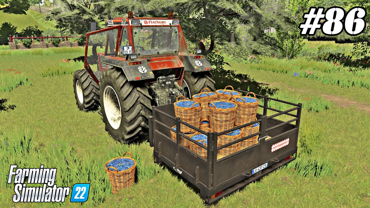 FS 22 |OLD FARM| Picking plums. Slivovitz production. Oat harvest. | #86