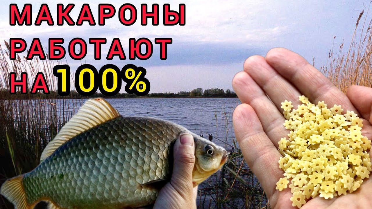 Для Карризного КАРАСЯ И КАРПА! НАСАДКА МАКАРОНЫ!