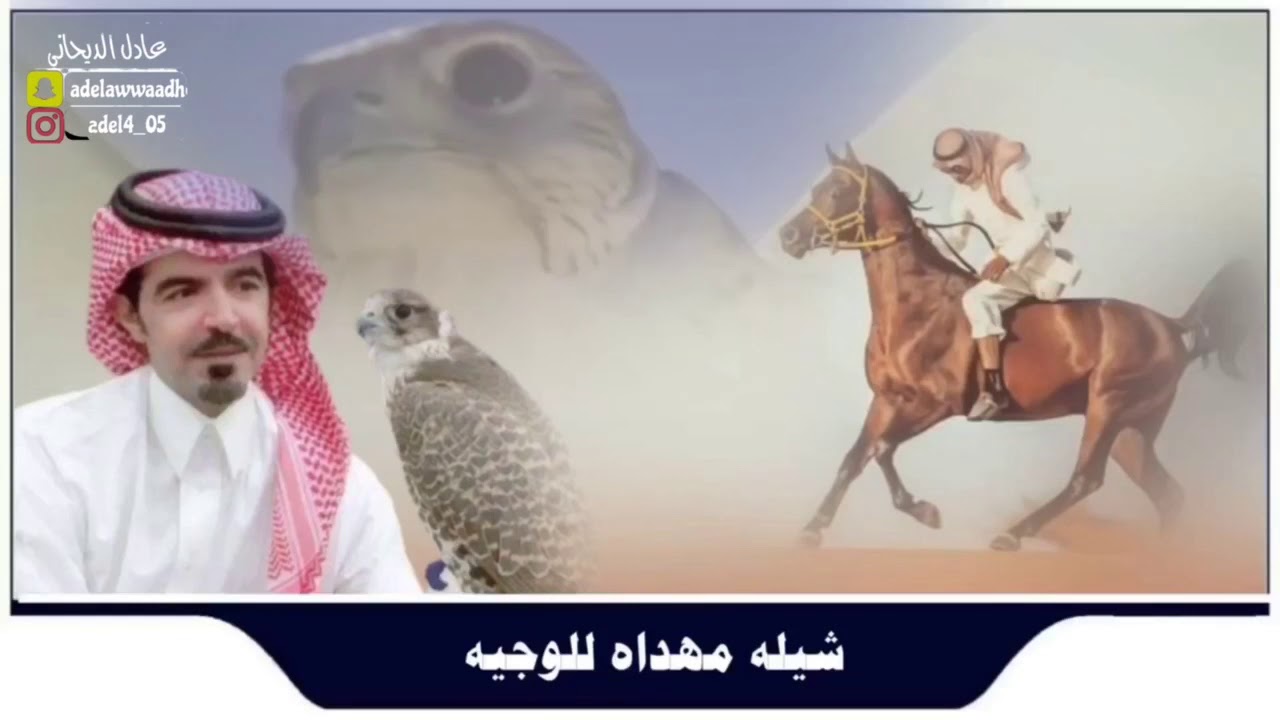 شيلة قبلة مصلي كلمات واداء مشعل الروقي