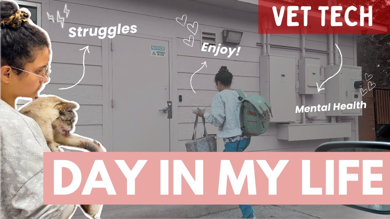 Work 10 HOURS with me as a Vet Tech | Day in my Life, Struggles, and Mental Health