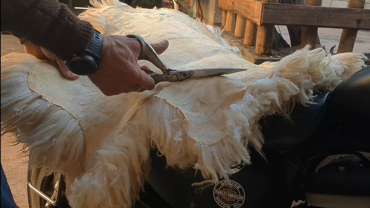How to put a SHEEPSKIN cover on your Motorcycle
